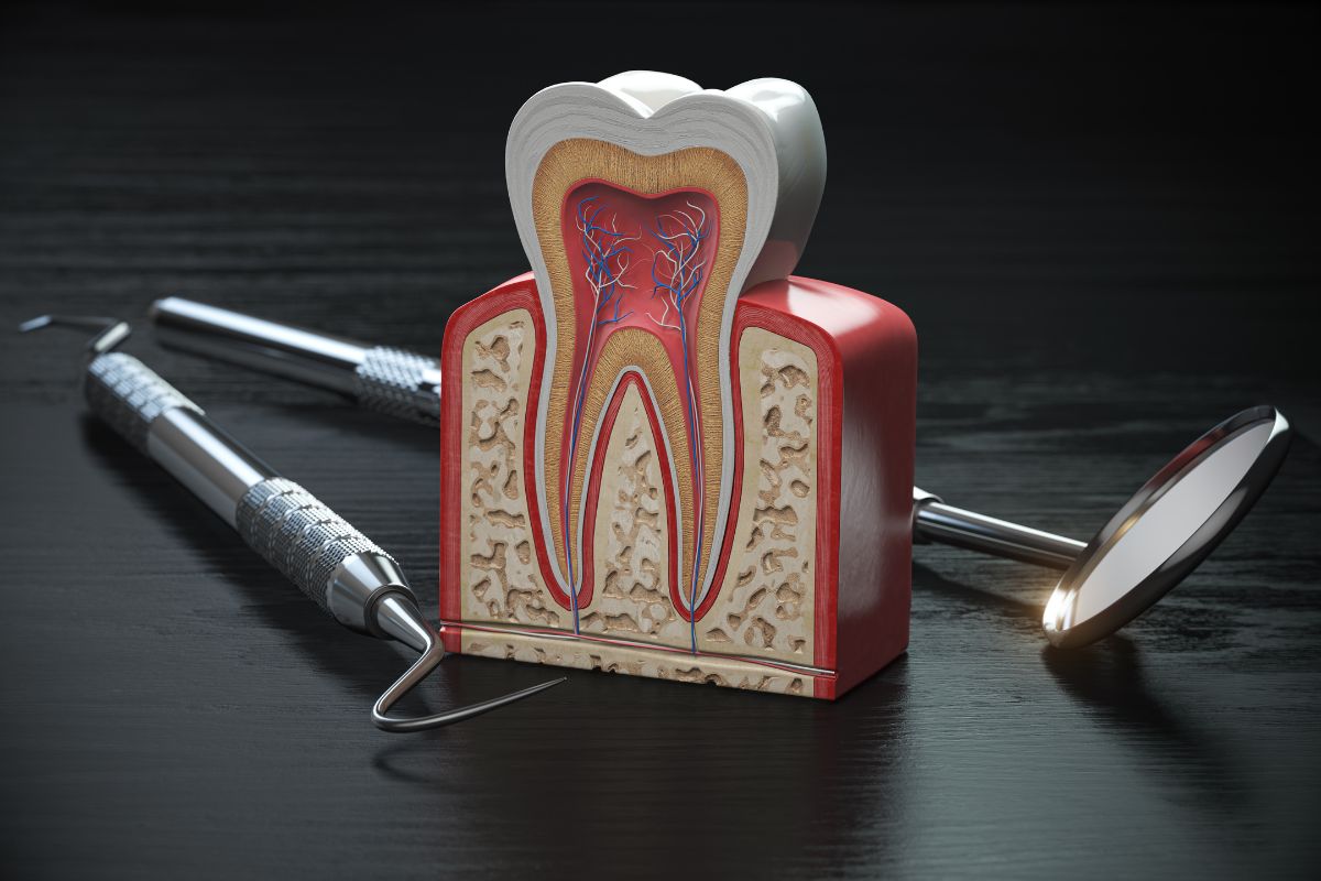 How Long Does a Root Canal Take